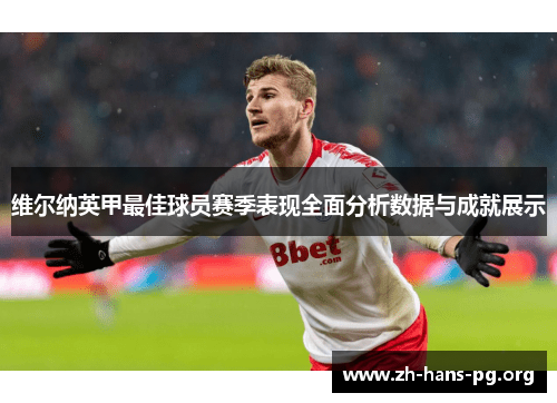 维尔纳英甲最佳球员赛季表现全面分析数据与成就展示