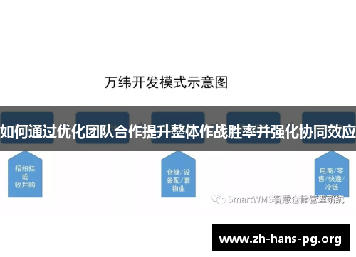 如何通过优化团队合作提升整体作战胜率并强化协同效应