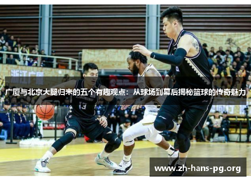 广厦与北京大腿归来的五个有趣观点：从球场到幕后揭秘篮球的传奇魅力